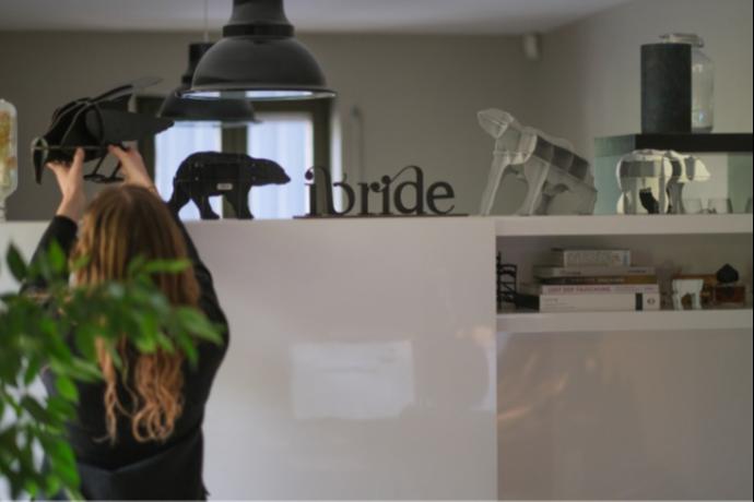 Histoire ibride Histoire ibride