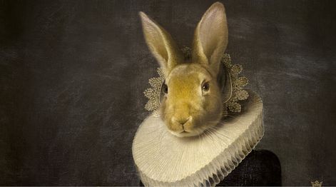 Zhao Zhao Portrait Collector ibride