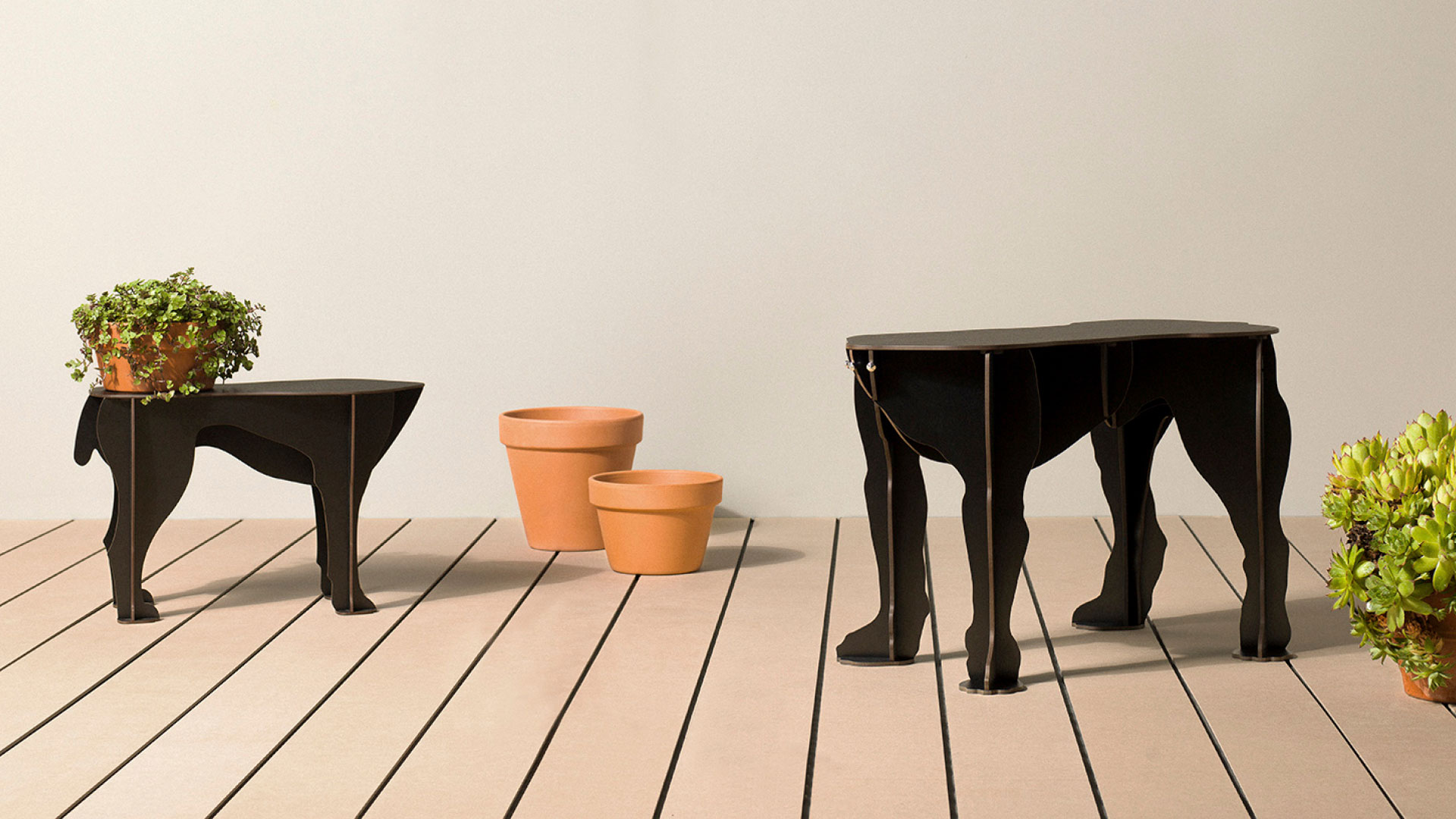 Rex et Sultan Mobilier de compagnie ibride