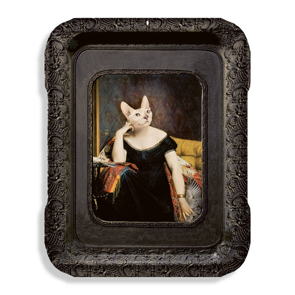 Plateau M | Victoire | Les Imparfaits