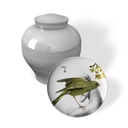 Yuan Parnasse | Les Imparfaits