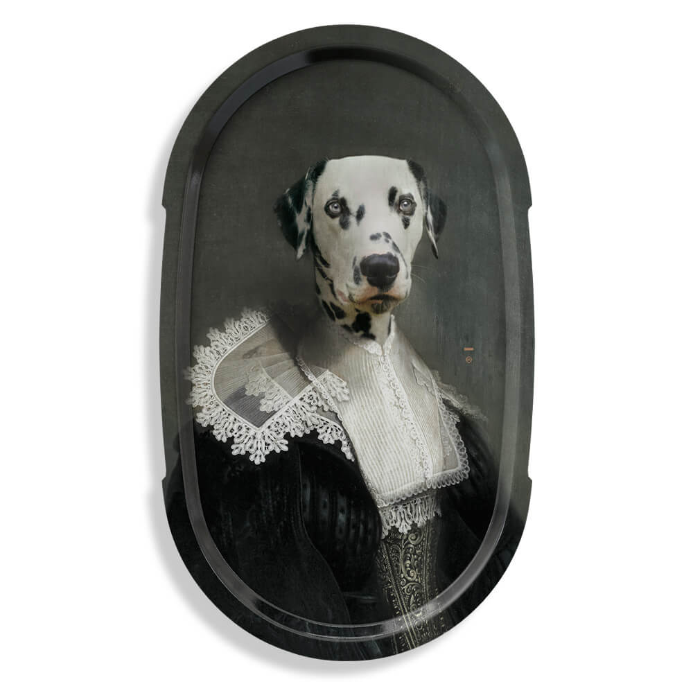 Plateau Ellipse | Sapho | Les Imparfaits