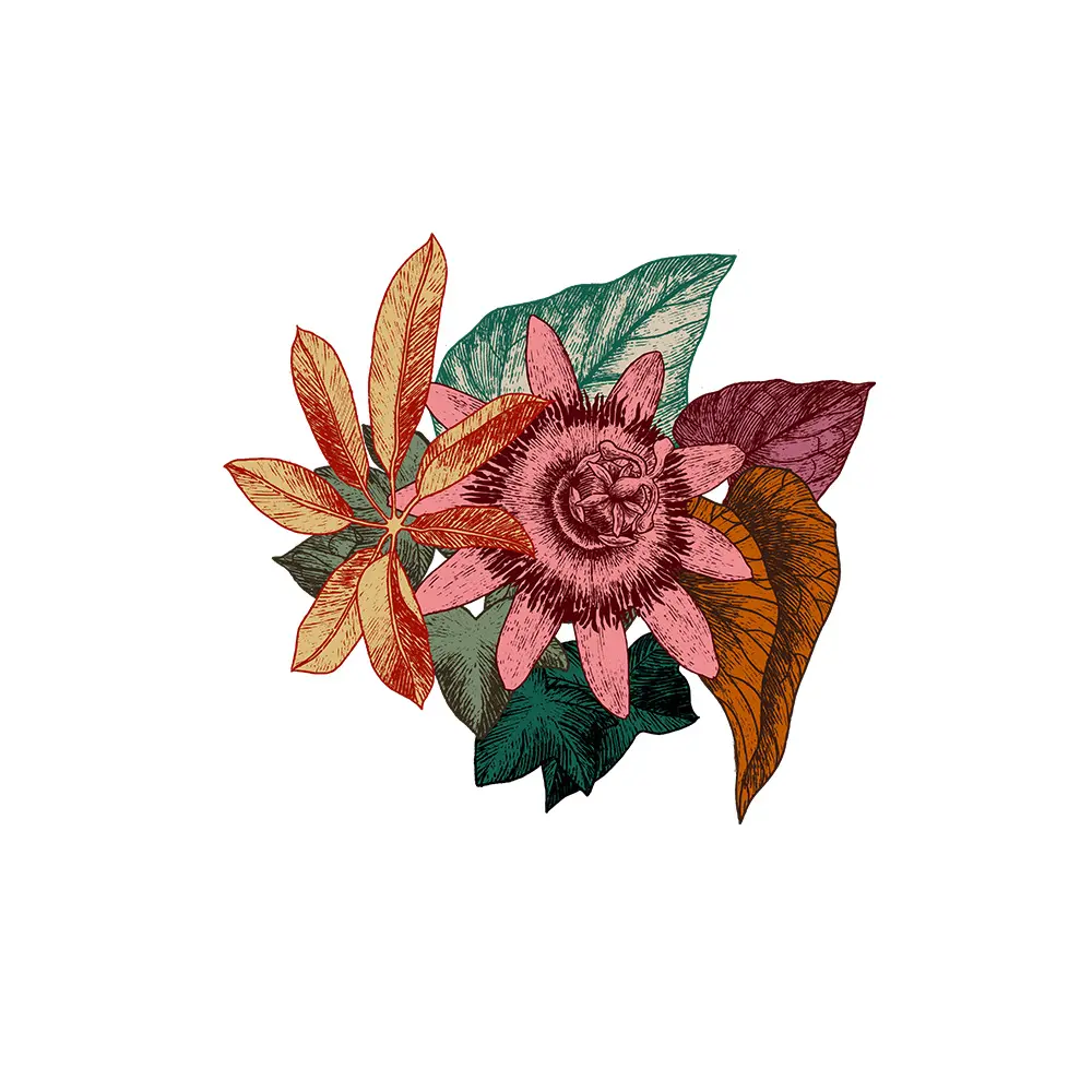 Porte-Manteau I Fleur Rose I Boucan I Les Imparfaits
