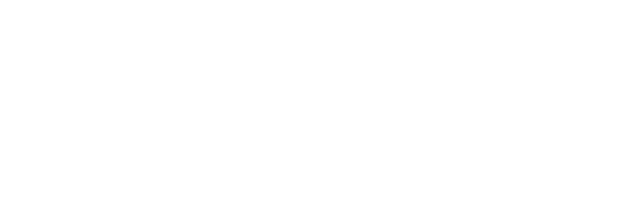 Ibride France Logo