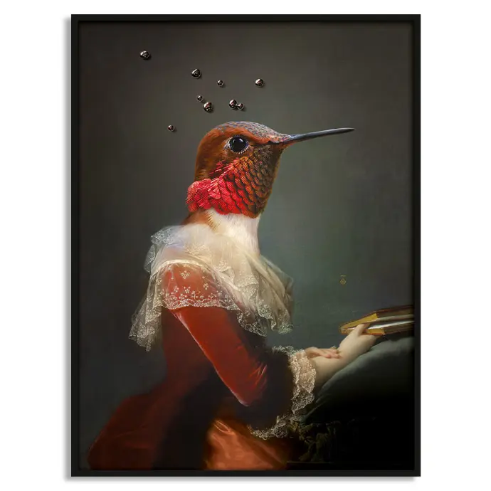 Grand portrait de l'élégante colibri Angèle