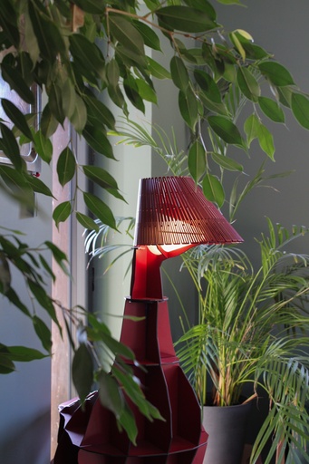 Rendez-vous Showroom Ibride