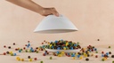 Cloches Morphose