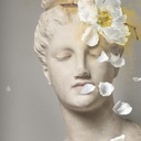 Portrait Collector Aphrodite Rêverie