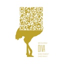 Diva_QR_Gold