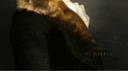 Portraits collector Maupin