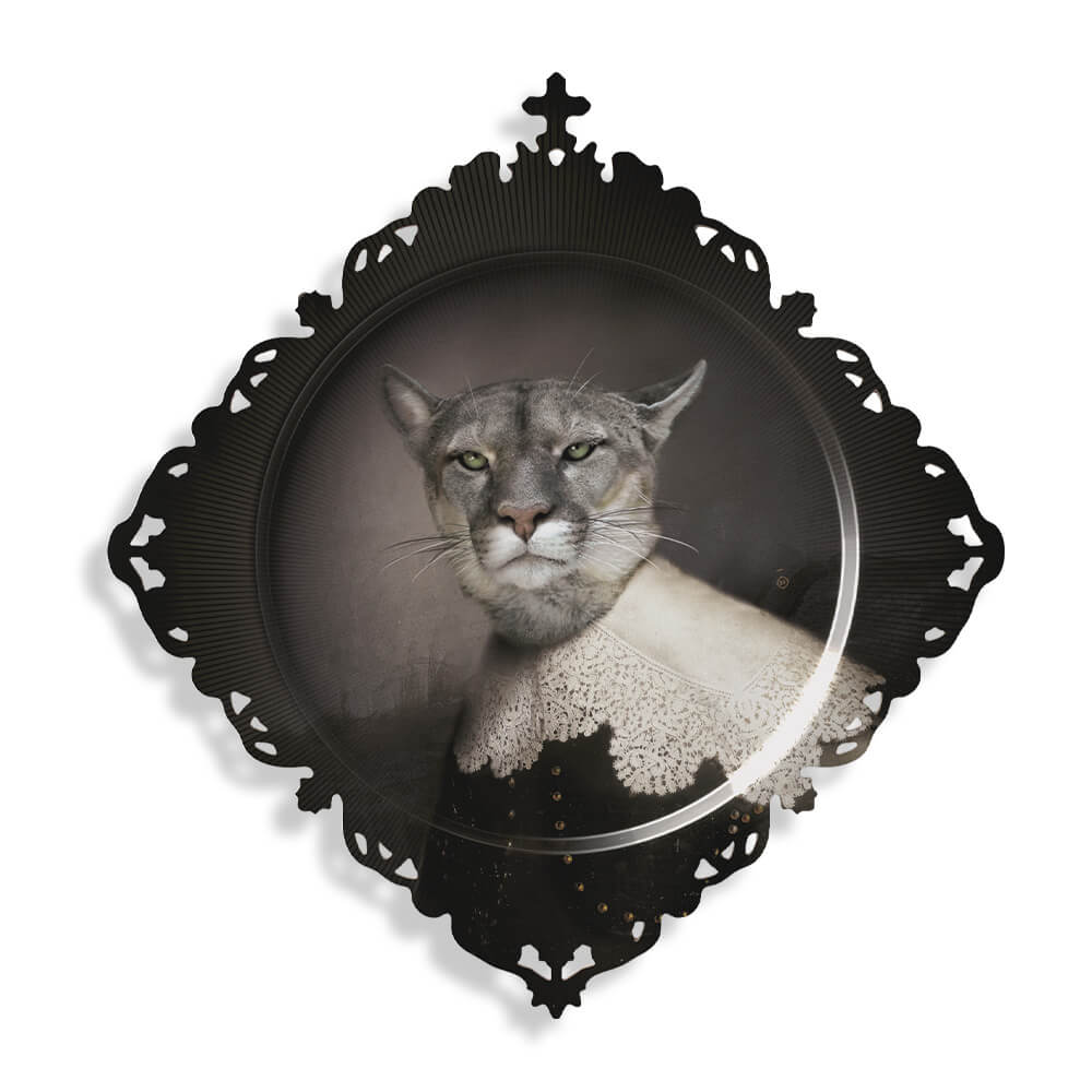 Trays size M | Medicis