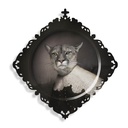 Trays size M | Medicis