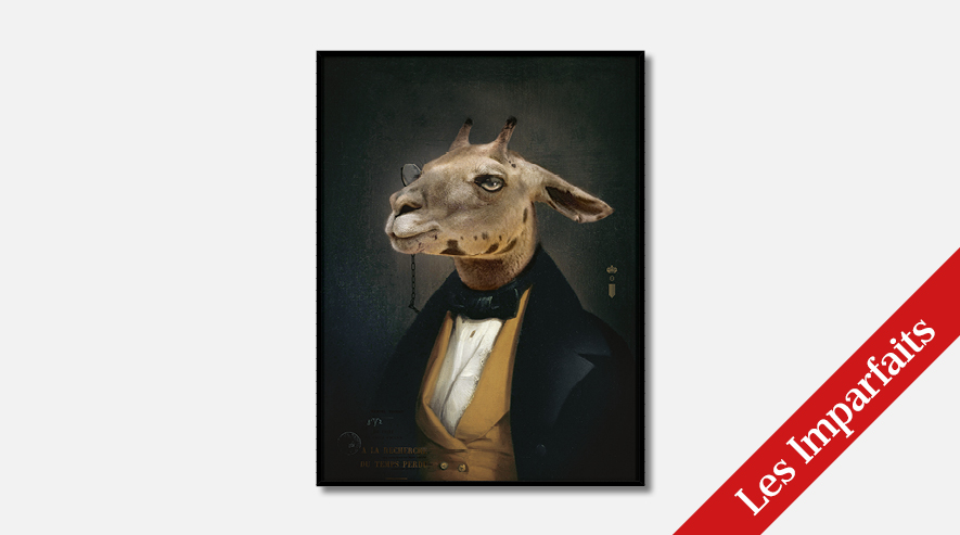 Portrait collector Charles M | Les Imparfaits